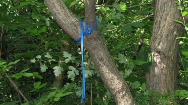 fata de 14 ani din vrancea gasita spanzurata de un pom cu un bilet prins de haina ce mesaj a lasat adolescenta