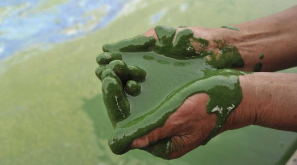 poluarea a bagat planeta intr o noua era geologica