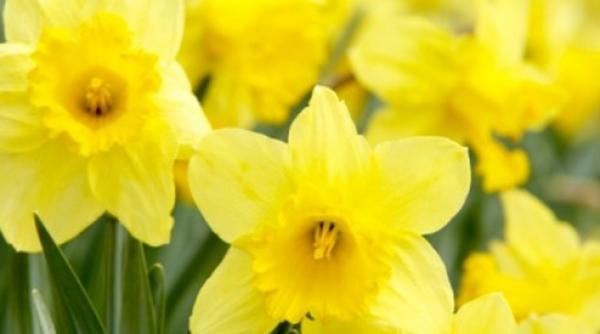 prognoza meteo pentru acest weekend in tara si la bucuresti