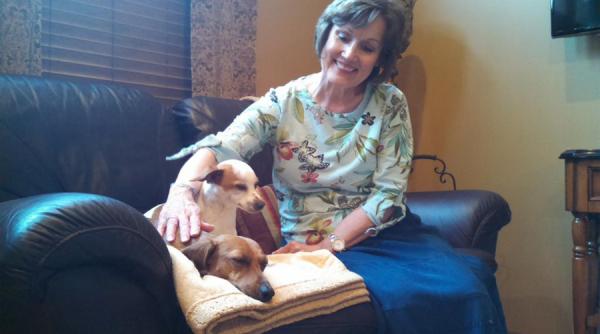 un catel a supravietuit 13 zile fara apa si mancare