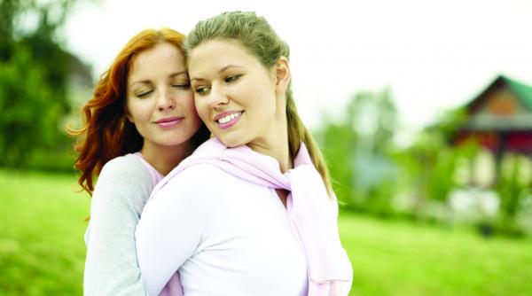 concubinajul gay baga dihonia in parlament