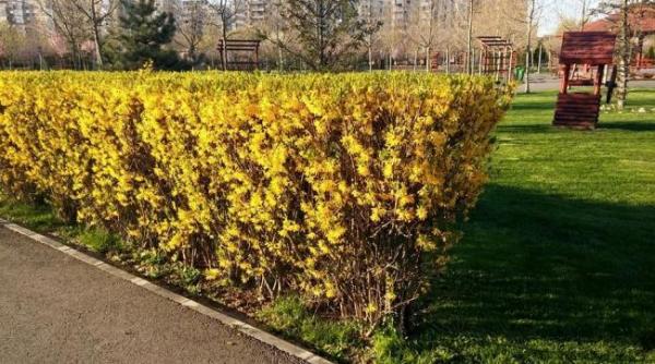 anm temperaturi maxime de 22 de grade si ploi moderate prognoza meteo pana in 10 mai