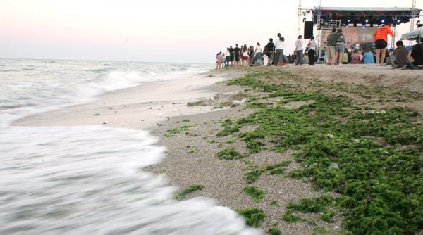 programul evenimentelor de pe litoral cu ocazia minivacantei de 1 mai