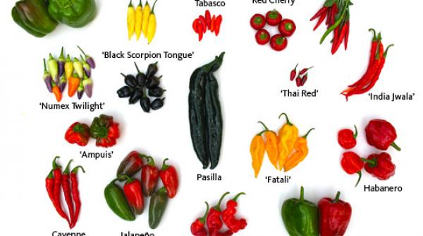 care este cel mai pornografic ardei iute