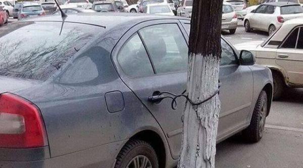 dez iluzia zilei antifurt eco