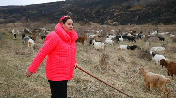 oana roman a facut de toate la poftiti pe la noi a manat o turma de capre a muncit intr o fabrica de paine si a plivit intr o sera