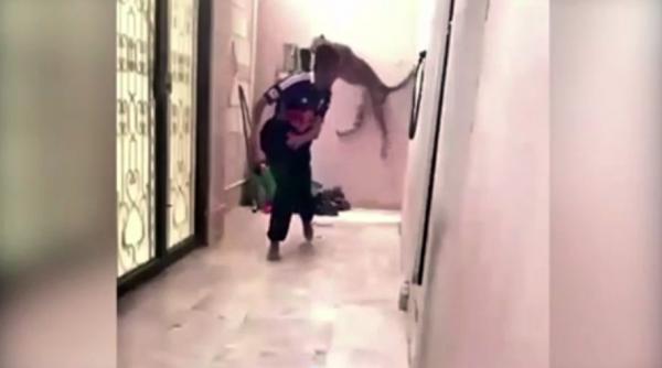 un video starneste uimirea pe internet voi cum ati proceda