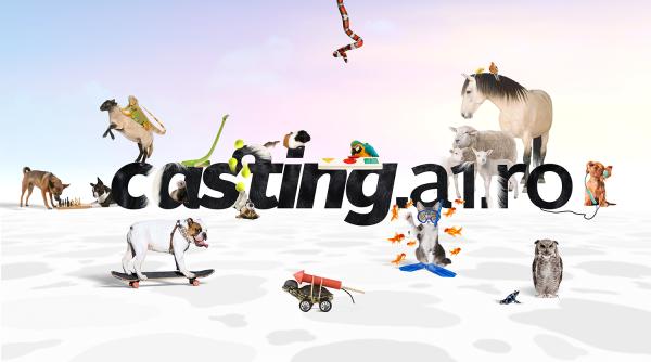 antena 1 cauta animale de companie cu pedigree de vedeta