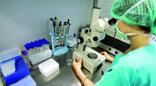 finantarea fertilizarii in vitro reluata dupa doi ani