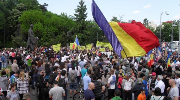 tu ne tai copacu noi iti rupem capu mesajul protestatarilor pentru jefuitorii padurilor romaniei