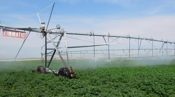 agricultura va avea 9 36 miliarde de euro