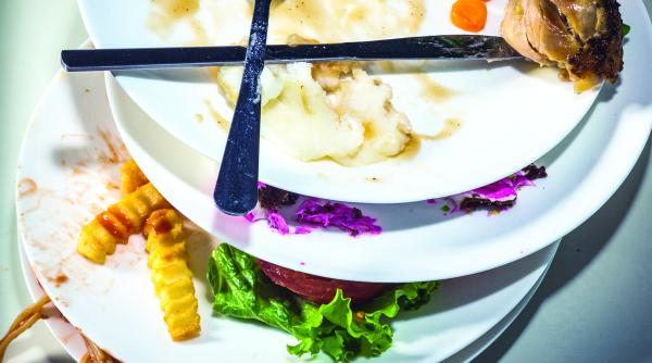 2 5 milioane de tone de mancare ajung anual la gunoi in romania