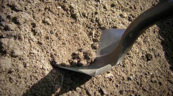 copil abandonat si ingropat de viu intr un cimitir