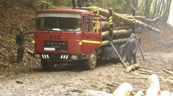 controale la firme de prelucrarea si comercializarea lemnului inclusiv la schweighofer