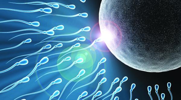 infertilitatea masculina vinovatii si solutiile