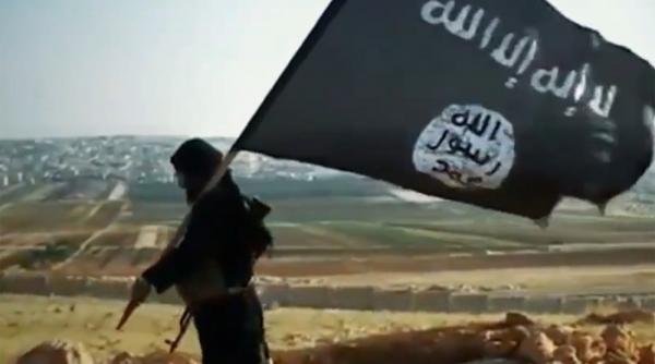 procedura de verificare a mesajului de revendicare a rapirii romanului un proces de durata