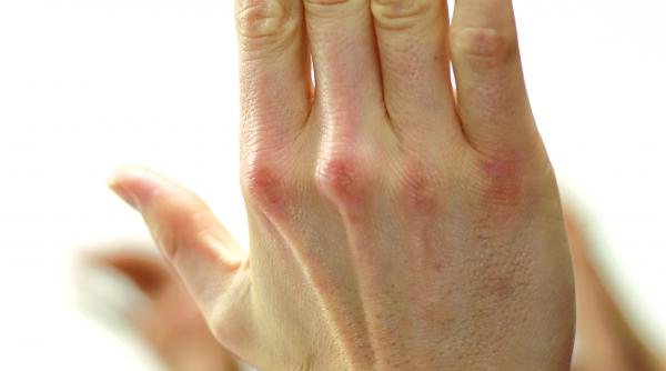 care este soarta legilor facute de cetateni