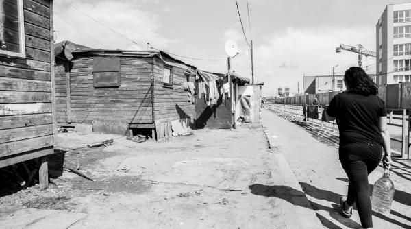 frati gemeni cu sobolanii in capitala europeana a tineretului