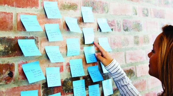 pentru studenti incubatoarele sunt o necunoscuta