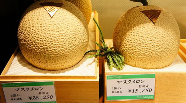 doi pepeni galbeni vanduti cu 11 000 de euro vezi unde si de ce