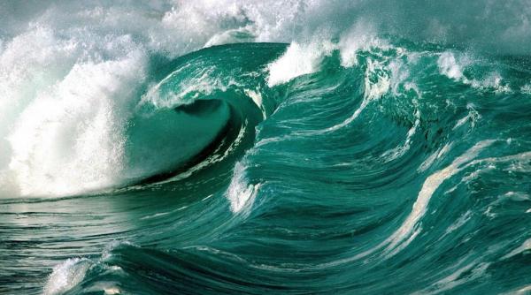 planctonul oceanic responsabil de producerea a jumatate din oxigenul planetar studiu