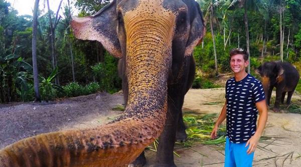 un elefant si a facut un elfie