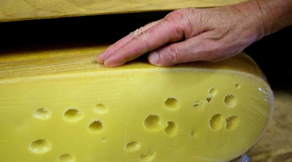 de ce gaurile din cascavalurile elvetiene sunt pe cale de dispatitie nu e o gluma