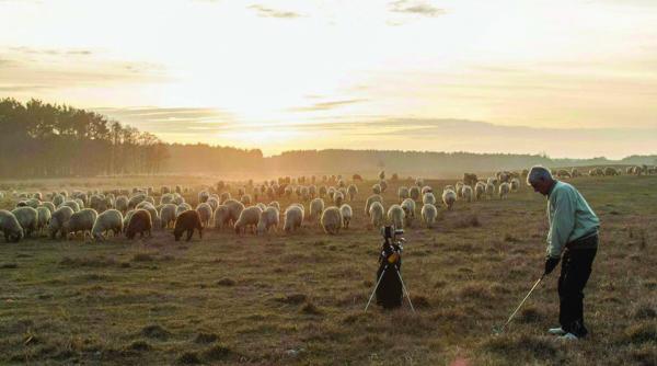 jocul cu un singur profesionist