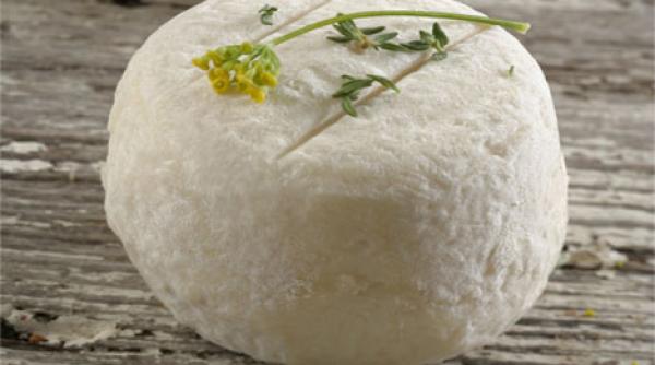 un aliment miraculos pentru sanatatea romanilor branza medicinala