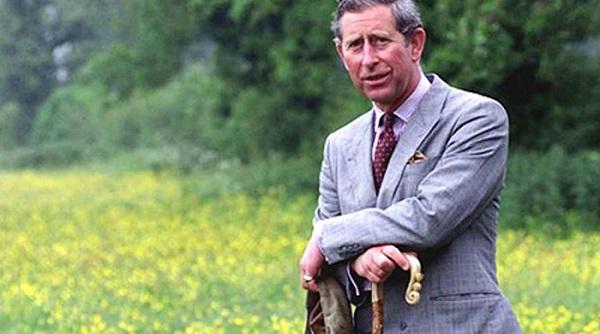 printul charles din nou acasa la valea zalanului conacul sau in lista celor mai frumoase resedinte din lume dupa vanity fair