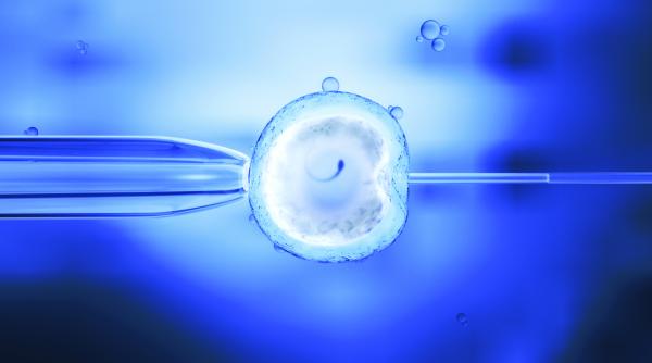 s a reluat fertilizarea in vitro pe banii statului