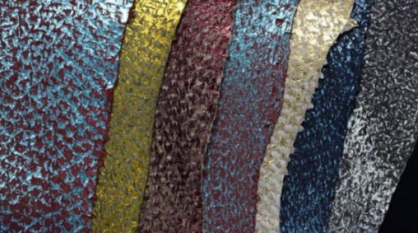 haine din piele de peste