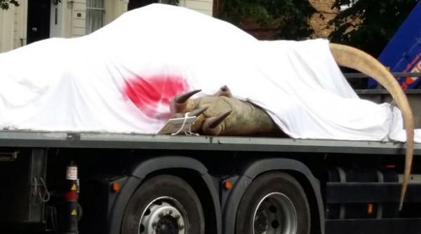 londonezii uimiti de ce transporta un camion multi s au oprit sa faca poze