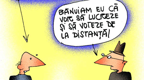 parlamentul in era it de la dezbateri in plen la videochat