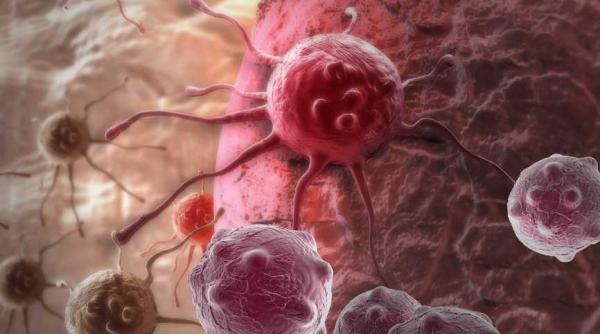 vitamina care ucide cancerul afla despre ce este vorba si cat de usor ajungi la ea