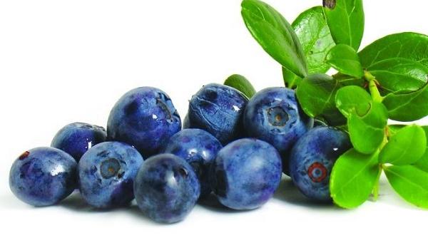 afinele un prieten pretios 9 boli in care sunt remediul naturist ideal