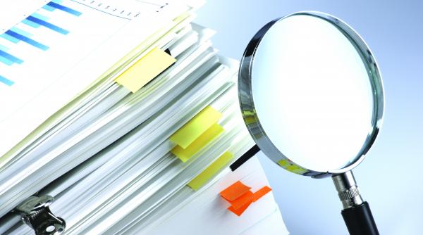 fond pentru start upuri la stat