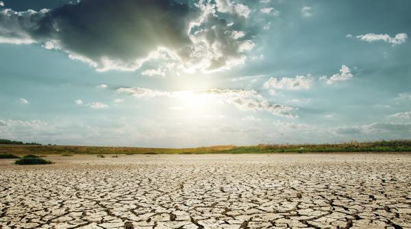 seceta a parjolit jumatate din recoltele de grau autoritatile stau la umbra