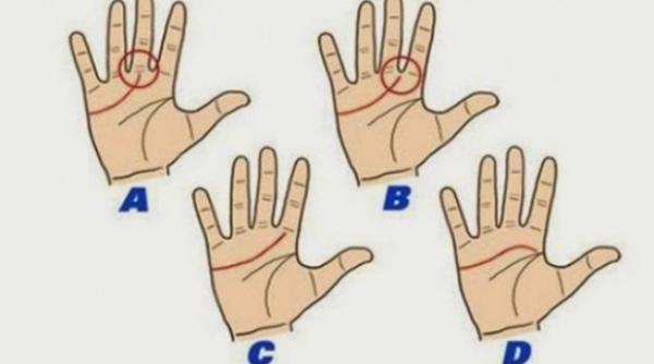 ce te asteapta in viata in functie de linia inimii