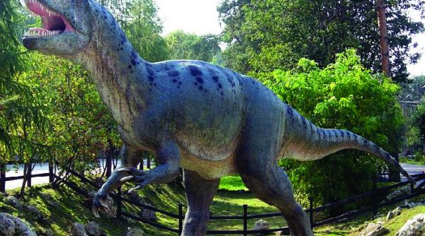 dinozaurii de la rasnov primesc azi primii oameni