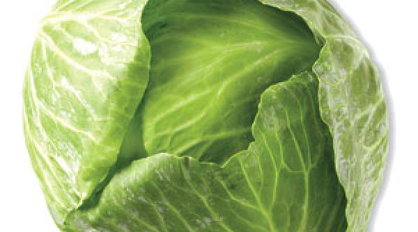 este incredibil ce se intampla in corpul tau daca mananci varza murata chiar si in toiul verii