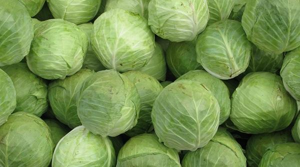 cura de 3 saptamani cu suc de varza vindeca ulcerul gastric