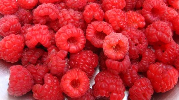 reteta zilei de luni dulceata de zmeura reteta bunicii