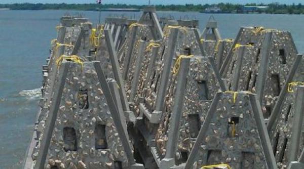 opt recife artificiale au fost amplasate in marea neagra