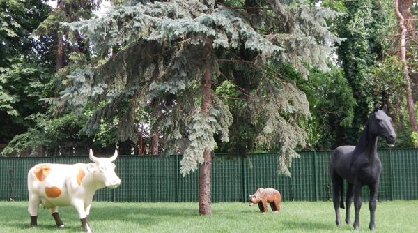 traian basescu ne explica ce e cu ursul calul si vaca