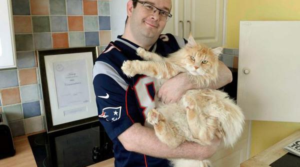 cel mai curajos motan a fost decorat ce isprava a facut