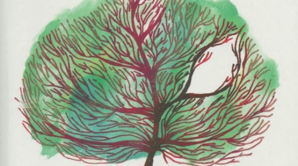 cancerul dragostea mea