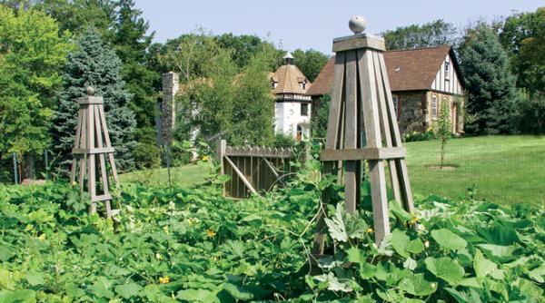 cerintele fermelor ecologice