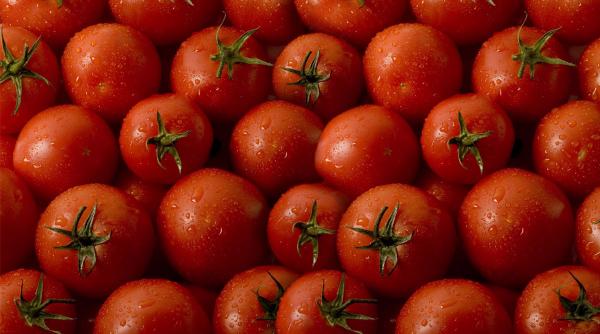 patlageaua rosie leacuri retete si interdictii purifica sangele si combate aciditatea gastrica