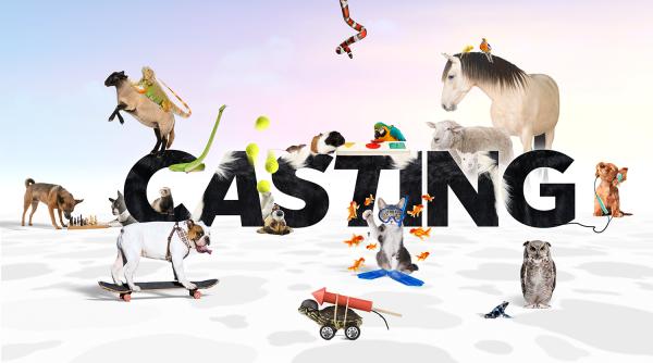 antena 1 da startul preselectiilor pentru show ul ham talent